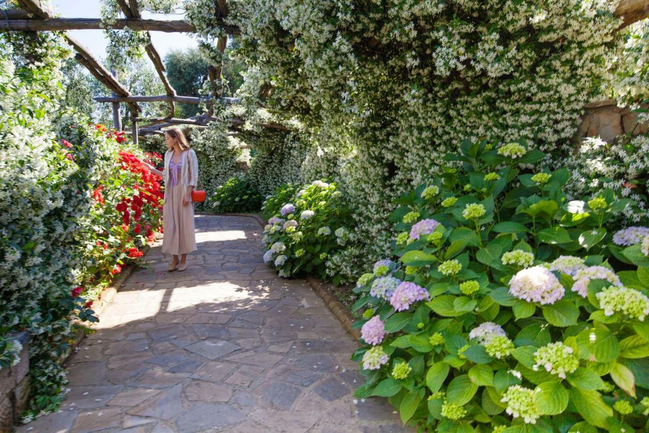 Montebosco Luxury Country House Piano di Sorrento Eksteriør bilde